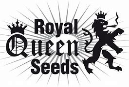 ROYAL QUEEN SEEDS