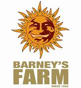 BARNEY'S FARM SEEDS